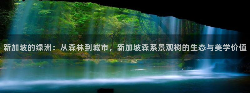 新宝gg 502:新加坡的绿洲:从森林到城市,新加坡森系景观树的生态与美学价值