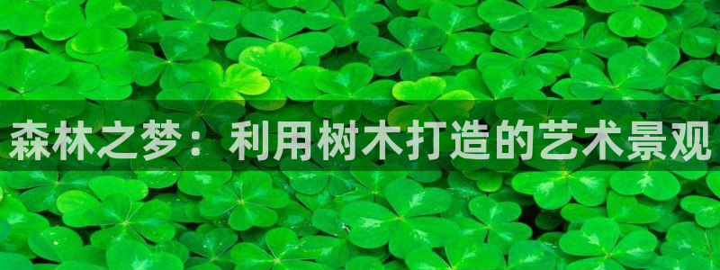 新宝gg代理:森林之梦:利用树木打造的艺术景观